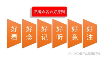 肖一刀 從無到有，打造豬肉品牌的戰略與啟示